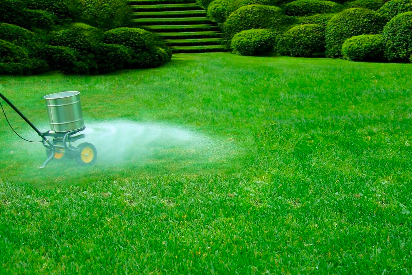 Lawn Fertilization Arvada